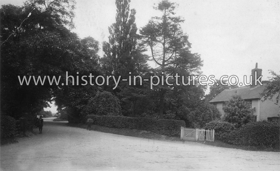 The Village, Pilgrims Hatch, Essex. c.1914